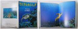 月刊たくさんのふしぎ１７４号（１９９９年９月号）－ウミガメは広い海をゆく