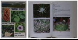 英文）Ethnobotany of Pohnpei: Plants, People, and Island Culture（ポンペイの民族植物学：植物、人々、島の文化）