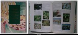 英文）A Pictorial Cyclopedia of Philippine Ornamental Plants（フィリピン観賞植物図鑑）