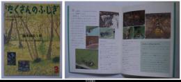 月刊たくさんのふしぎ２４号（１９８７年３月号）－雑木林の１年　－「かがくのとも」小学生版