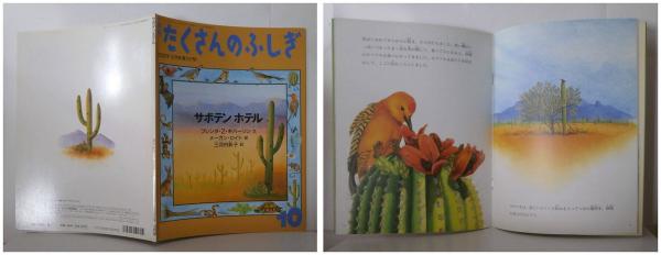 月刊たくさんのふしぎ187号（2000年10月号）－サボテン