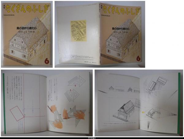 たくさんのふしぎ かがくのとも 鳥の目から見たら だいこんだんめん