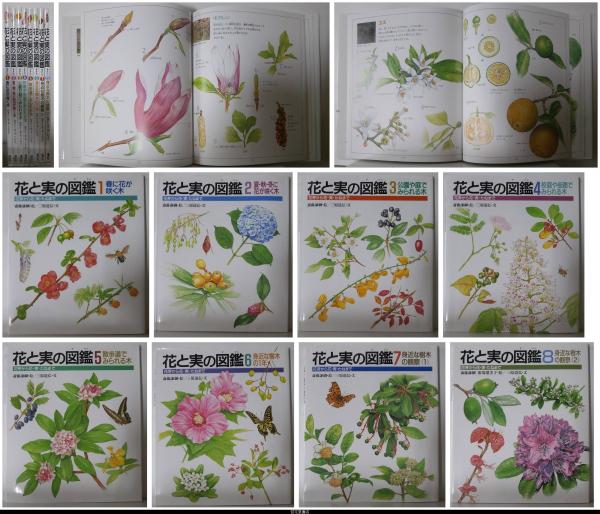 花と実の図鑑 花芽から花・実・たねまで 全８冊揃(齋藤謙綱・絵／三原