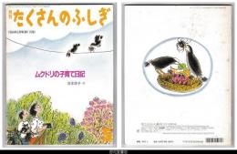 月刊たくさんのふしぎ１１０号（１９９４年５月）－ムクドリの子育て日記