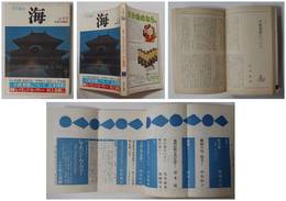 海１５巻５号－特集・今日の海外文学　レイモンド・カーヴァー