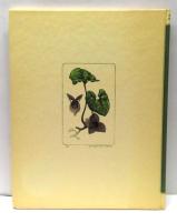 大きな木の下で : 生き物をめぐるフィールド便り