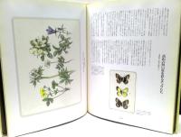 大きな木の下で : 生き物をめぐるフィールド便り