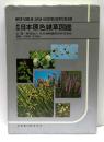 新版　日本原色雑草図鑑