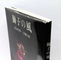 獅子の風 : 東京西多摩・三匹獅子舞 : 桜井保秋写真集