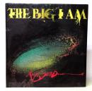 The Big I Am　ラルフ・ステッドマン