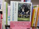 小さな本の大きな世界