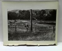 Photographs and anti-photographs　エリオット・アーウィット写真集