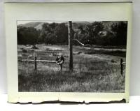 Photographs and anti-photographs　エリオット・アーウィット写真集