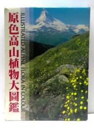 原色高山植物大圖鑑