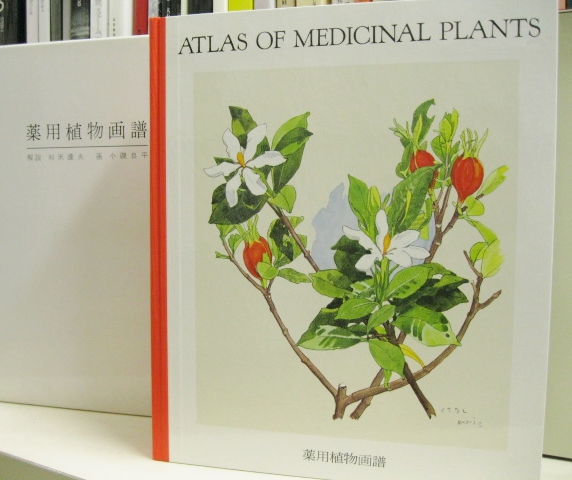 ナチュラ 薬用植物画譜 日本臨床社 解説:刈米達夫 画:小磯良平 - 通販