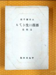 薔薇は生きてる : 山川弥千枝遺稿集