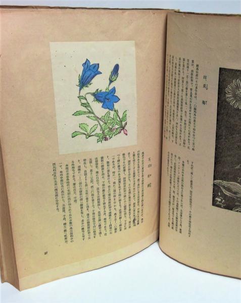 Amazon.co.jp: 希少花鳥画譜完 沼田荷舟 松山堂書店 明治45年