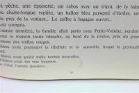 le chat et la marguerite