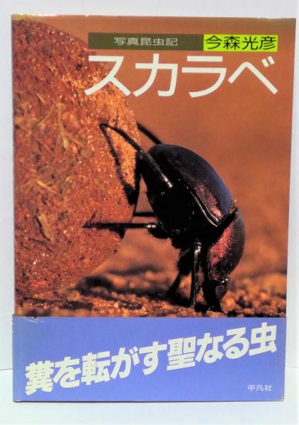 Amazon.com: スカラベ―写真昆虫記: 9784582529289: 今森 光彦: Books