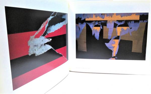 ERNST HAAS COLOR PHOTOGRAPHY エルンスト・ハース Ernst Haas Color Photography: Haas, Ernest(1921-1986