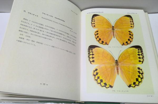 原色 台湾産蝶類図譜(岡野磨瑳郎, 大蔵丈三郎 著) / 古本、中古本、古