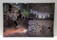 "Rendezuous" : A SADAO WATANABE SCRAPBOOK 1933-1984 渡辺貞夫1984年ツアーパンフレット