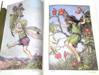 Illustrated fairy world　妖精原画展