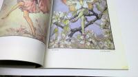 Illustrated fairy world　妖精原画展