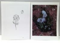 紋黄蝶　mina perhonen　2014-15　autumn/winter collection