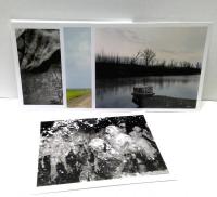 Alec Soth : Gathered Leaves Postcards