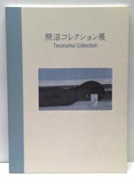 照沼コレクション展