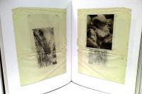 Medardo Rosso. Catalogo ragionato della scultura