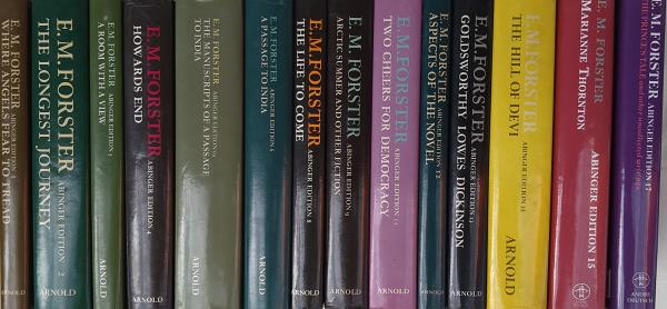 Abinger Edition Of E M Forster Vol 1 2 3 4 6a 6 8 9 11 12 13 14 15 And 17 14 Volumes E M フォースター全集 14冊 美本 1972 00 E M Forster 下井草書房 古本 中古本 古書籍の通販は 日本の古本屋