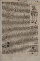 ニュルンベルグ年代記　２葉（グーテンベルグ本）1493
INCUNABLA. The Nuremberg Chronicle. 2 leaves.