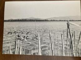 みやづの文化財（京都丹後）