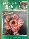 キナバル山の植物　　（ボルネオ島）