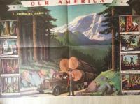 OUR AMERICA　LUMBER（teacher s kit)