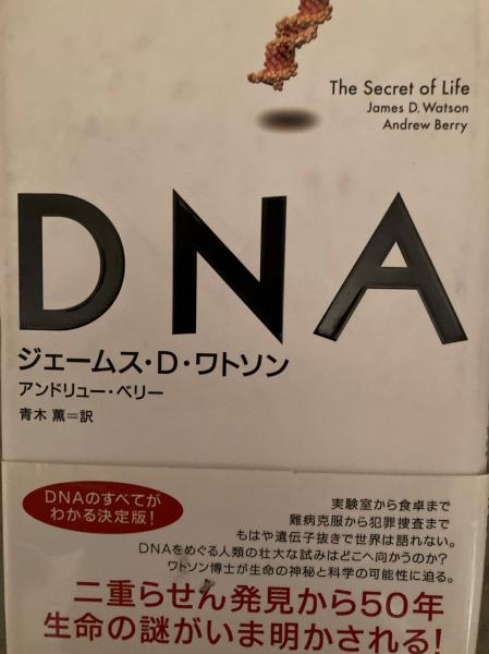 Dna すべてはここから始まった ジェームス D ワトソン アンドリュー ベリー 著 青木薫 訳 小野田書房 古本 中古本 古書籍の通販は 日本の古本屋 日本の古本屋