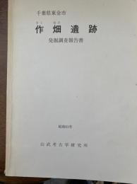 作畑遺跡発掘調査報告書