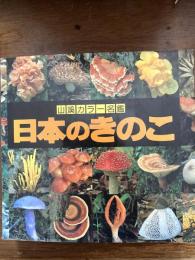 日本のきのこ