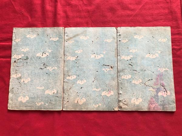草双子 正本製（しょうほんじたて） 十編上下 國画 虫損あり