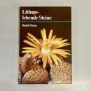 Lithops-lebende Steine