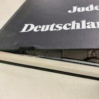 Juden in Deutschland. Die Geschichte einer 2000jaehrigen Tragoedie