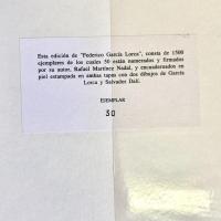 Federico García Lorca: mi penúltimo libro sobre el hombre y el poeta