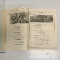 （チベット語）འཛིན་གྲྭ་དང་པོའི་སློབ་དེབ Tibetan reader I : primery school