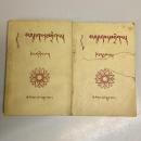 漢藏新詞彙　第2・3集（全4冊のうち2冊セット）