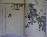 画本虫撰