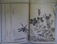 画本虫撰