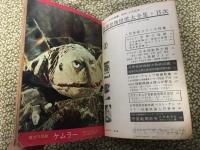 世界怪物怪獣大全集　キネマ旬報社 世界怪物怪獣大全集(キネマ旬報編 ; 大伴昌司監修) / 古本、中古