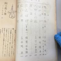 白い壁　2,4,6,7,8号の5冊セット (画像は表紙5冊ひとまとめと目次号順）